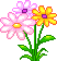aprettyflower2