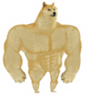 strong_doge
