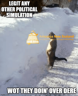 crazy people crazy people