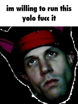 yolo fucc it - xerus yolo fucc it - xerus