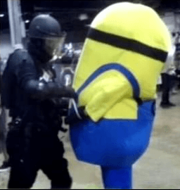 based minion arrested based minion arrested