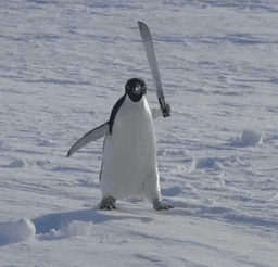 Penguin Penguin
