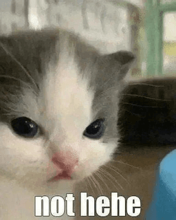 not hehe not hehe