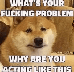 whatIsYourProblem whatIsYourProblem