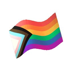 Progress Flag ! Progress Flag !