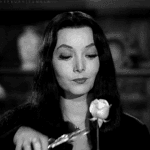 Just Morticia cutting roses Just Morticia cutting roses