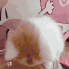 Cute Kitty Tasting Cute Kitty Tasting