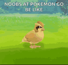 pogo-noob pogo-noob