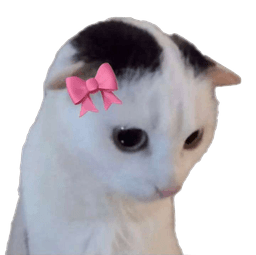 Coquette Cat Coquette Cat