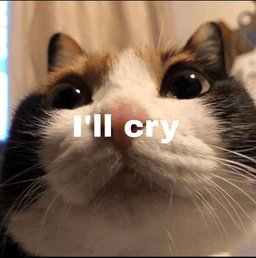 I'll cry cat I'll cry cat