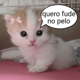 discord.gg/seminveja discord.gg/seminveja