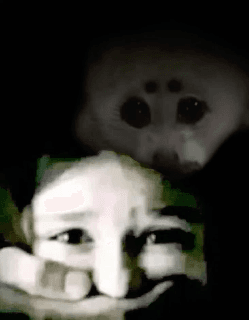 fuckass seal fuckass seal