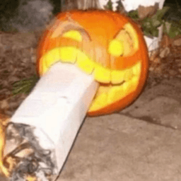 ракомакофон ракомакофон