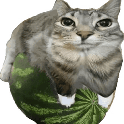 арбуз арбуз