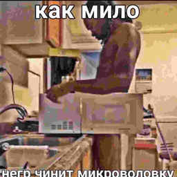 негр негр