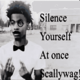 SILENCE YOURSELF SCALLYWAG!! SILENCE YOURSELF SCALLYWAG!!