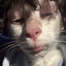 mrmeow mrmeow