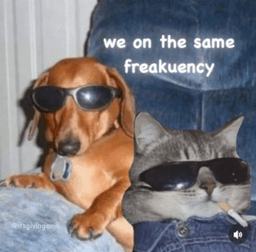 Freakuency Freakuency