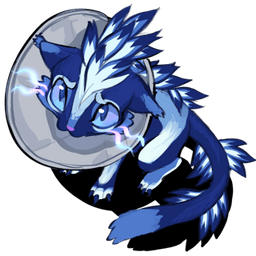 Lòuie Cone of Shame Lòuie Cone of Shame