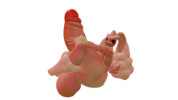 MayuLoupun1 MayuLoupun1