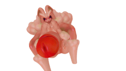 Mayuloupun2 Mayuloupun2