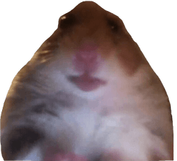hamsterFacetime hamsterFacetime