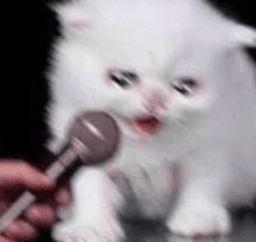 kitten mic kitten mic