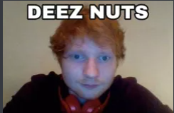 deez nuts