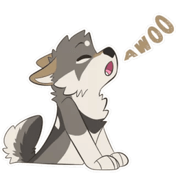 awoo awoo