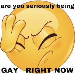 fr gay
