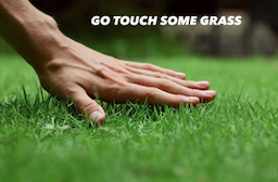 touch grass :/