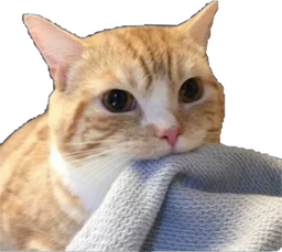cat steal blanket